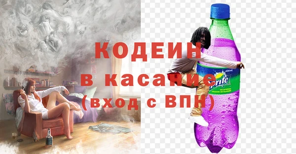 стаф Аркадак