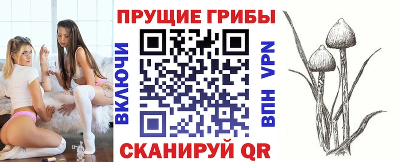 Галлюциногенные грибы прущие грибы  Майкоп 