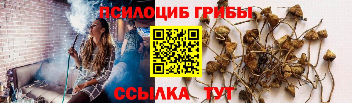 Галлюциногенные грибы мухоморы Майкоп