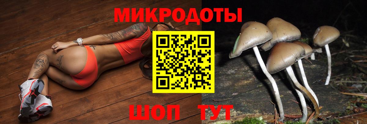 Галлюциногенные грибы Cubensis  даркнет сайт  Майкоп  Вход с VPN 