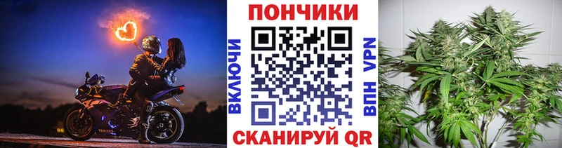 Бошки Шишки гибрид  сайты даркнета как зайти  Майкоп  купить  сайты 